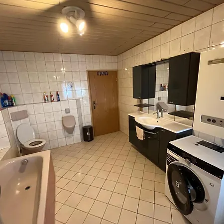 Mitten Im Pfaelzerwald